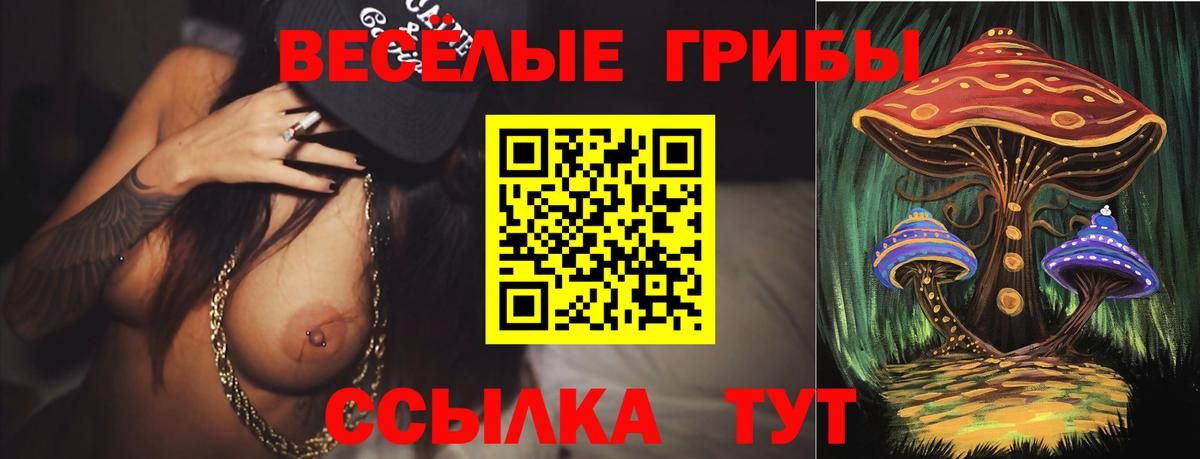 Псилоцибиновые грибы прущие грибы Острогожск